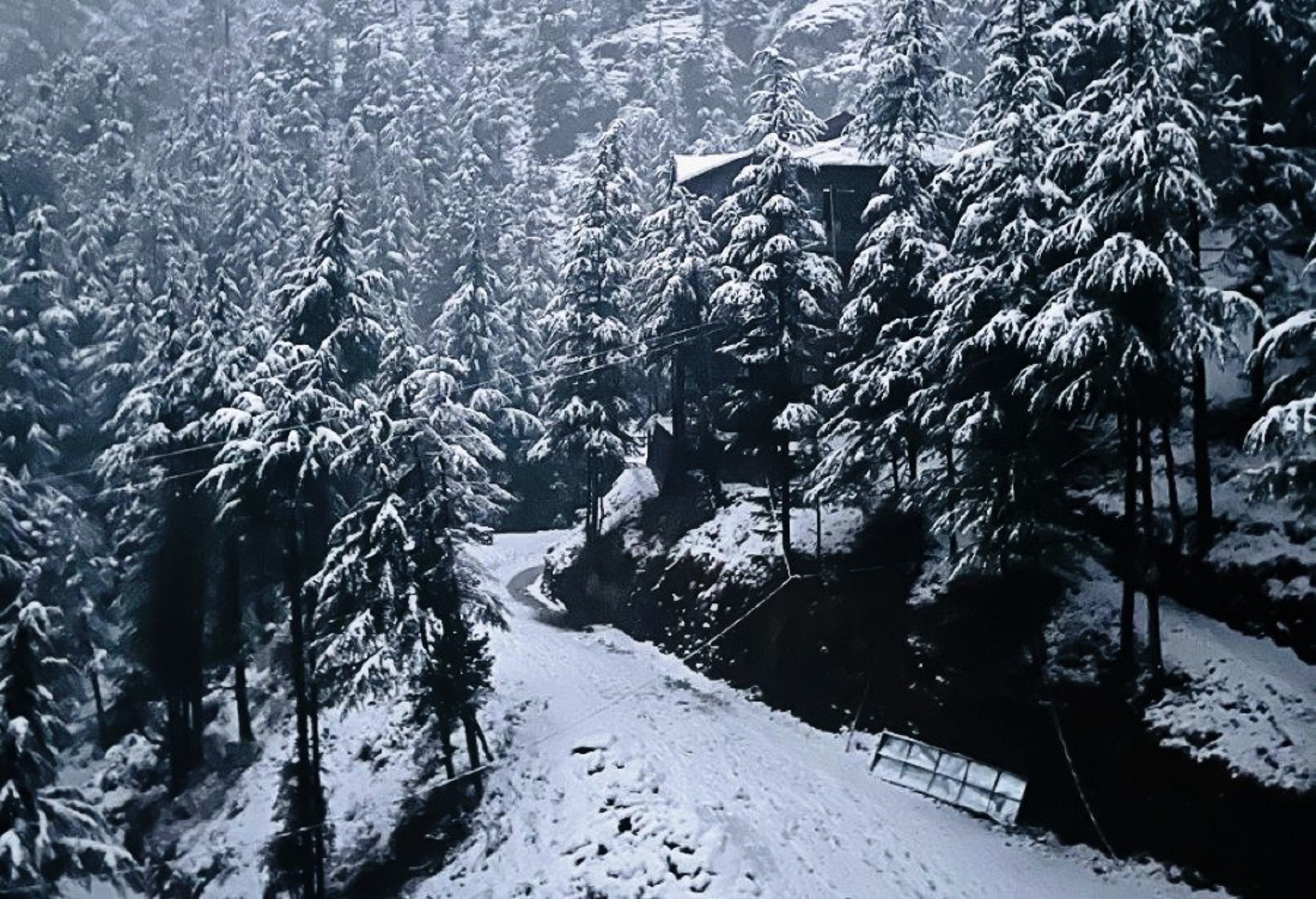 Nature Villa Resort, Chail