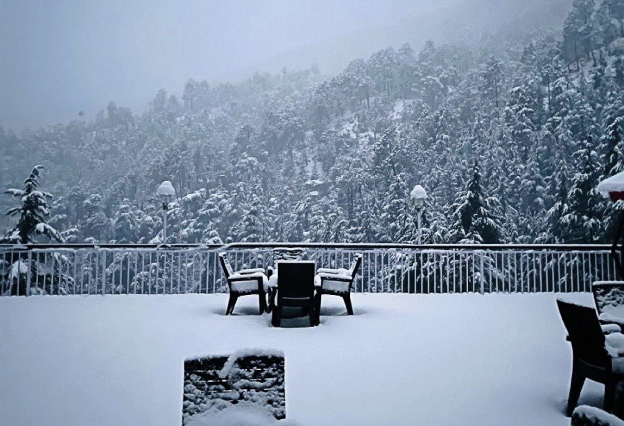 Nature Villa Resort, Chail